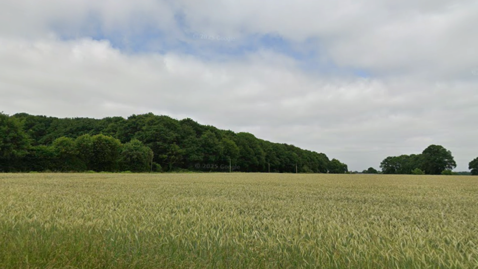 Terrain constructible de 698m2 à Saint-Sauveur-des-Landes