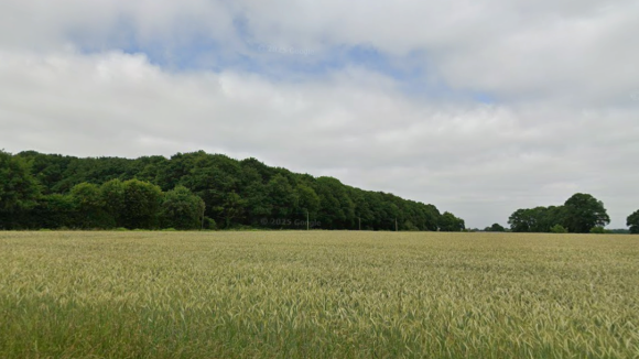 saint sauveur des landes.png