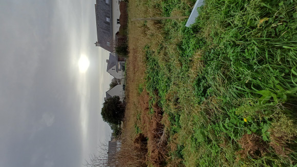 20251206_153127.jpg