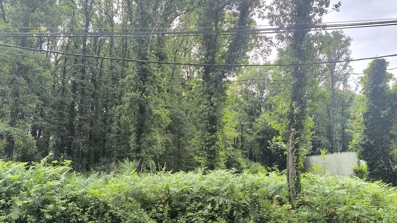 Terrain constructible de 1100m2 à Saint-Joachim