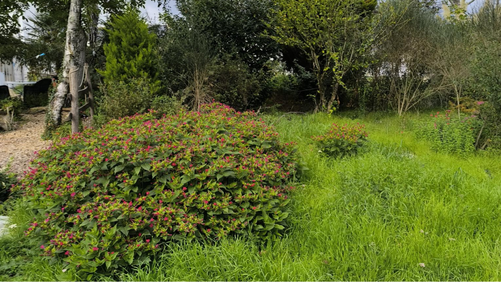 Terrain constructible de 400m2 à Besné