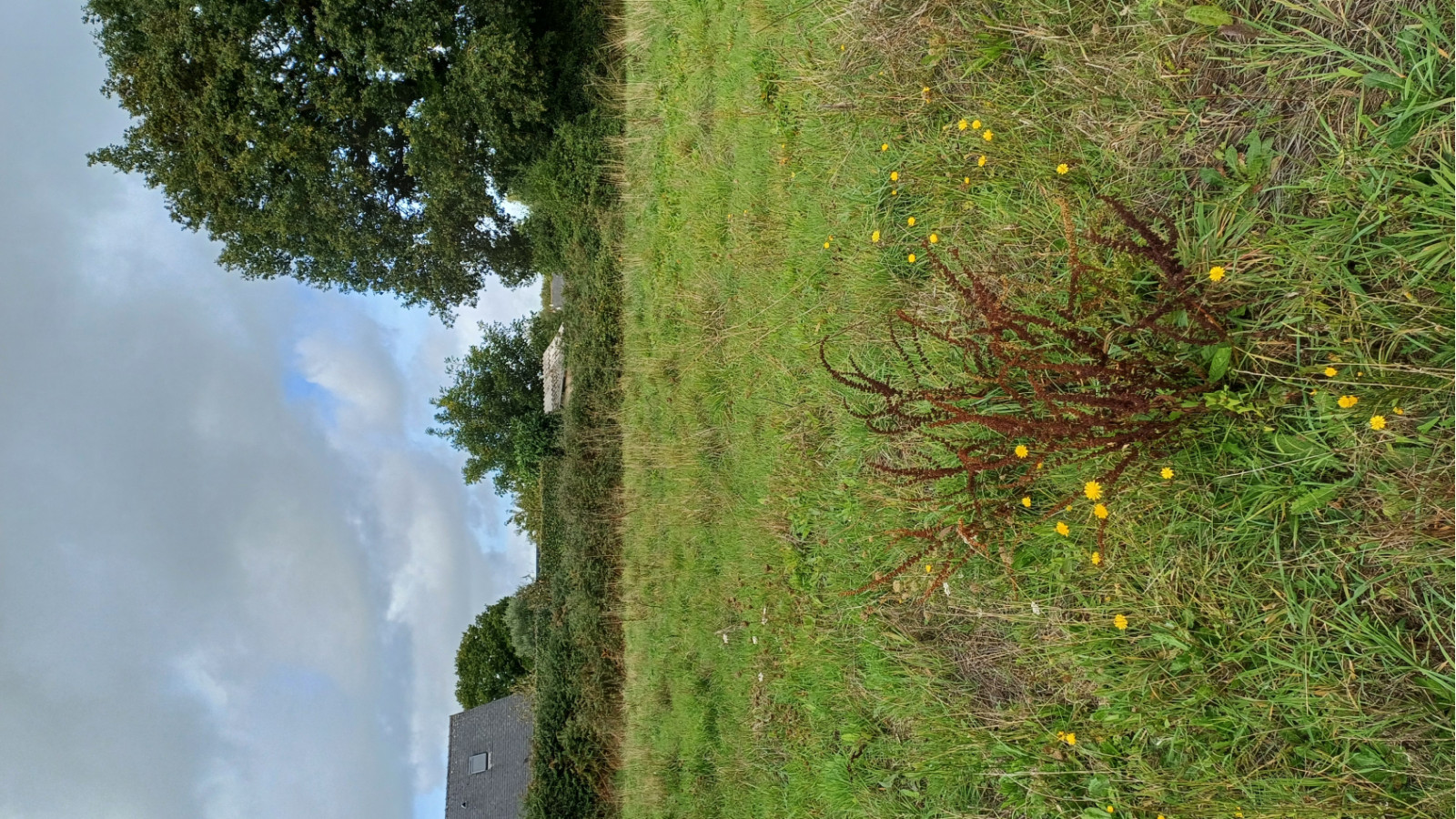 Terrain constructible de 350m2 à Le Temple-de-Bretagne