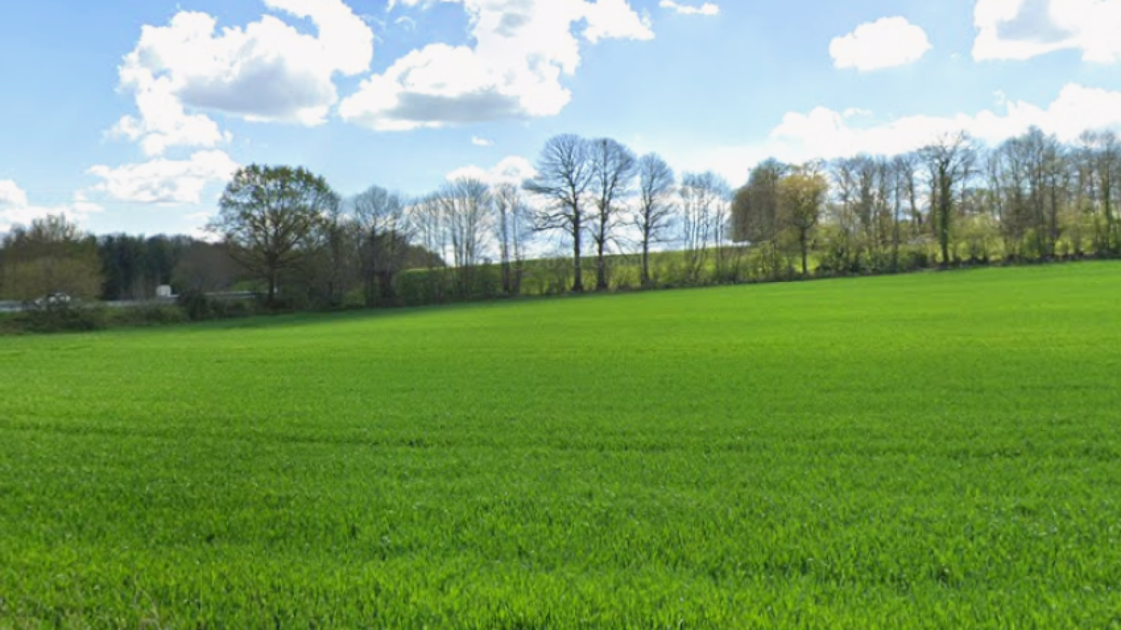 Terrain constructible de 235m2 à Vitré