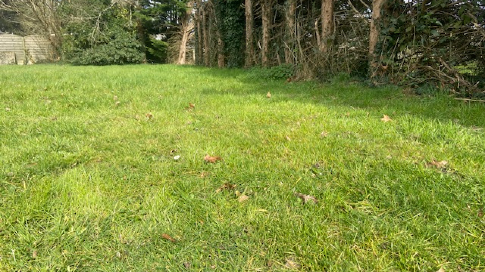Terrain constructible de 1230m2 à Pontchâteau