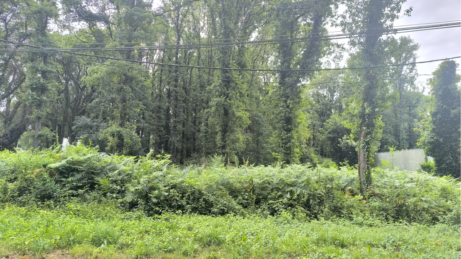 Terrain constructible de 485m2 à Mesquer