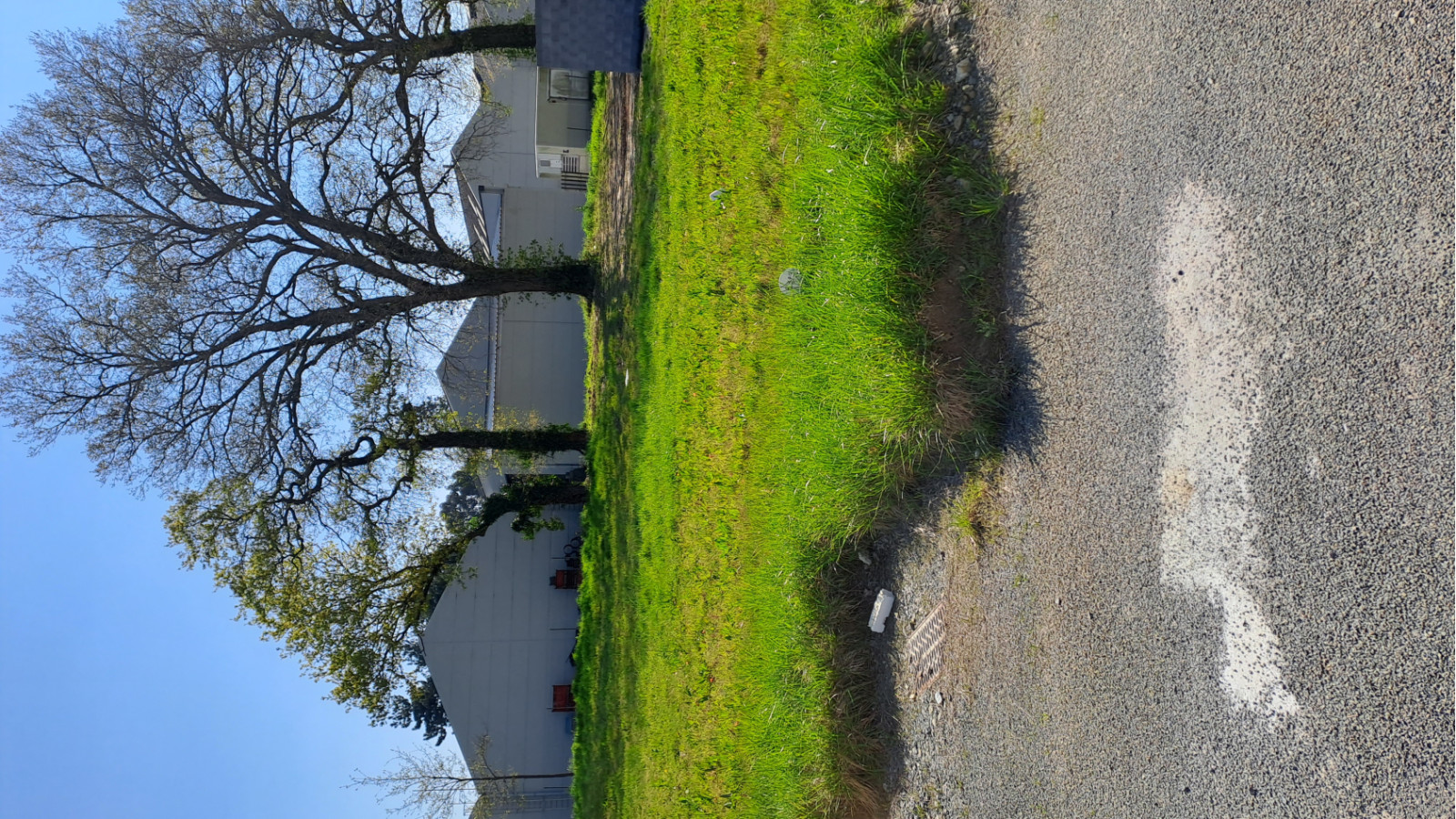 Terrain constructible de 446m2 à Essé