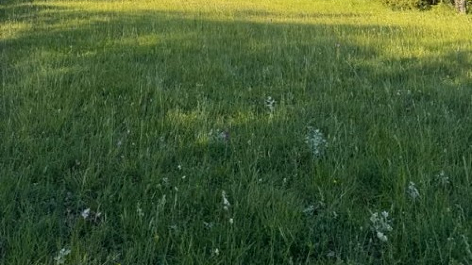 Terrain constructible de 282m2 à Maisdon-sur-Sèvre