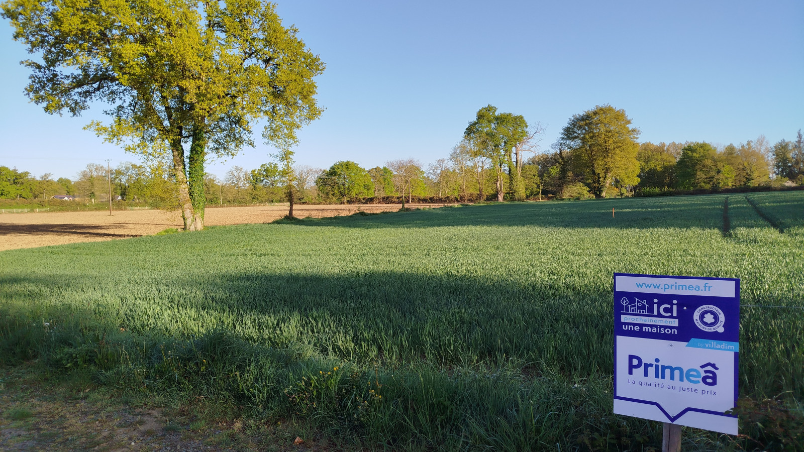 Terrain constructible de 300m2 à Saint-Péran