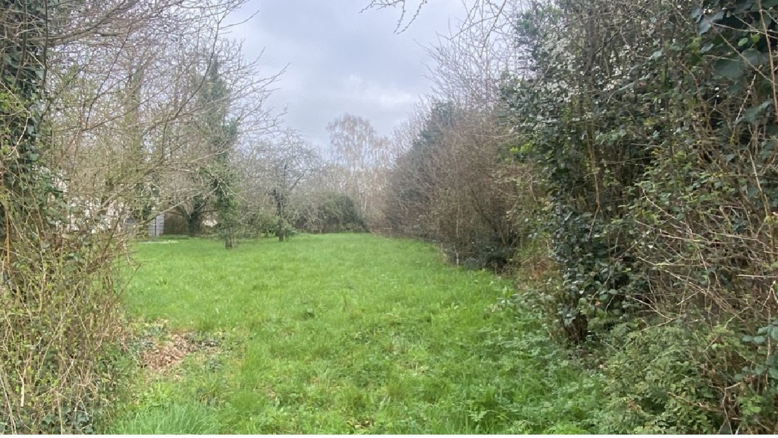 Terrain constructible de 375m2 à Savenay