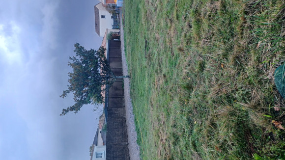 20251023_102845.jpg