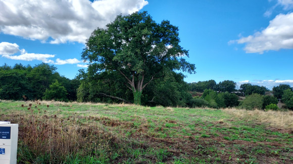 20260908_151545.jpg