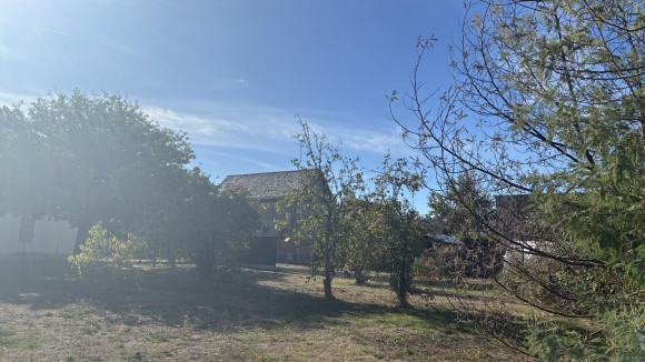 image2(30).jpeg