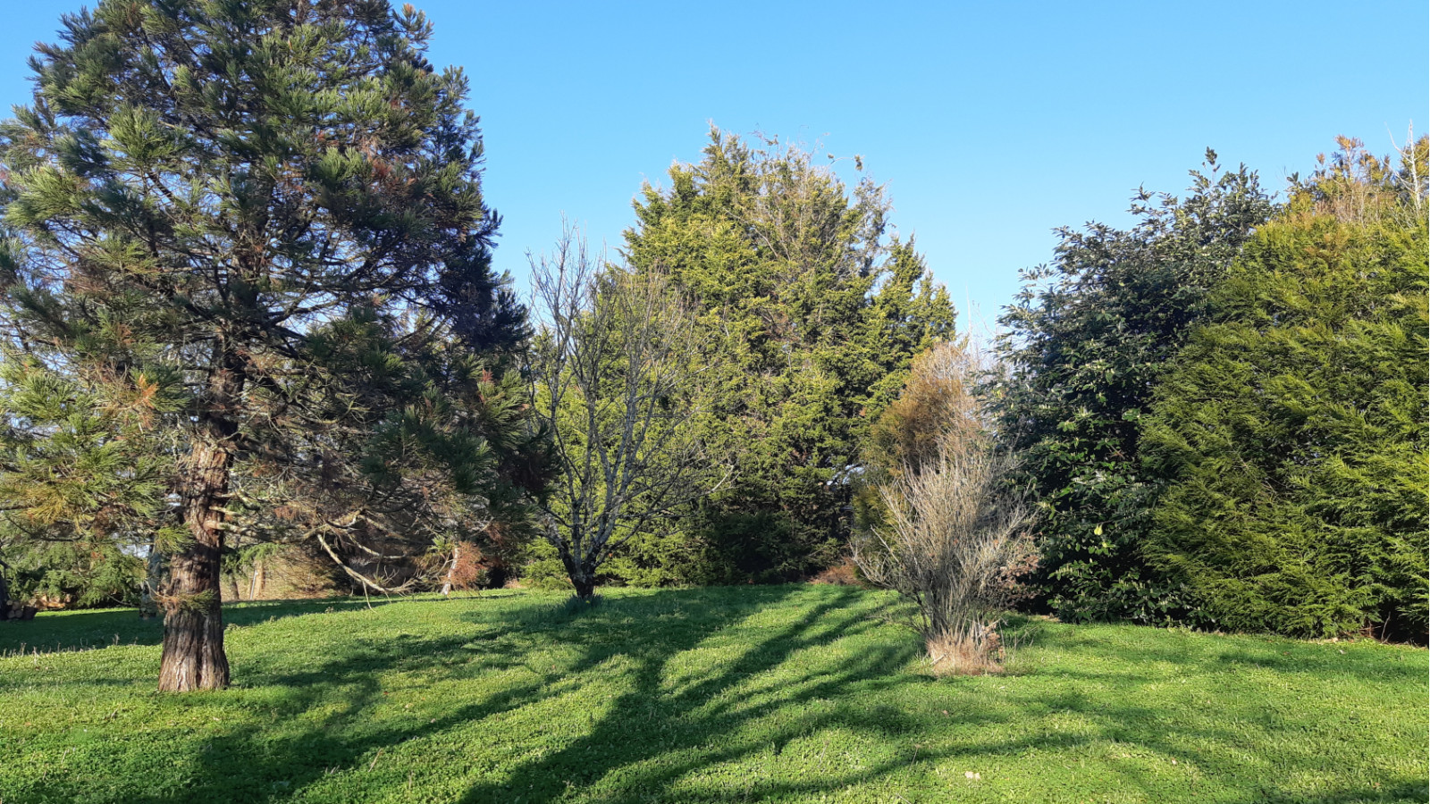 Terrain constructible de 550m2 à Saint-Malo-de-Guersac