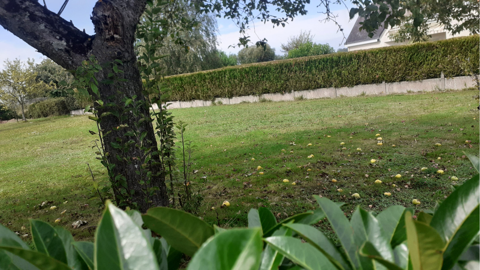 Terrain constructible de 600m2 à Montoir-de-Bretagne