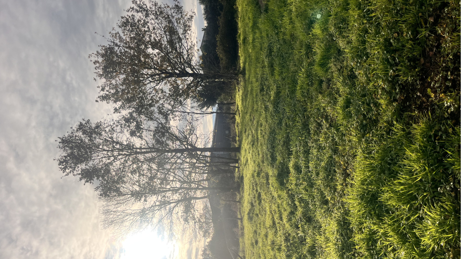 Terrain constructible de 1325m2 à Legé