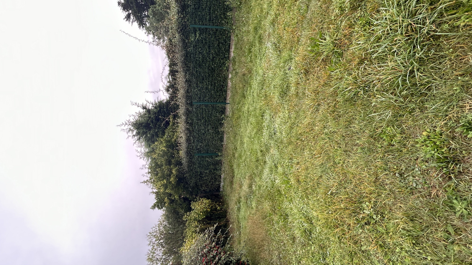 Terrain constructible de 503m2 à Piriac-sur-Mer