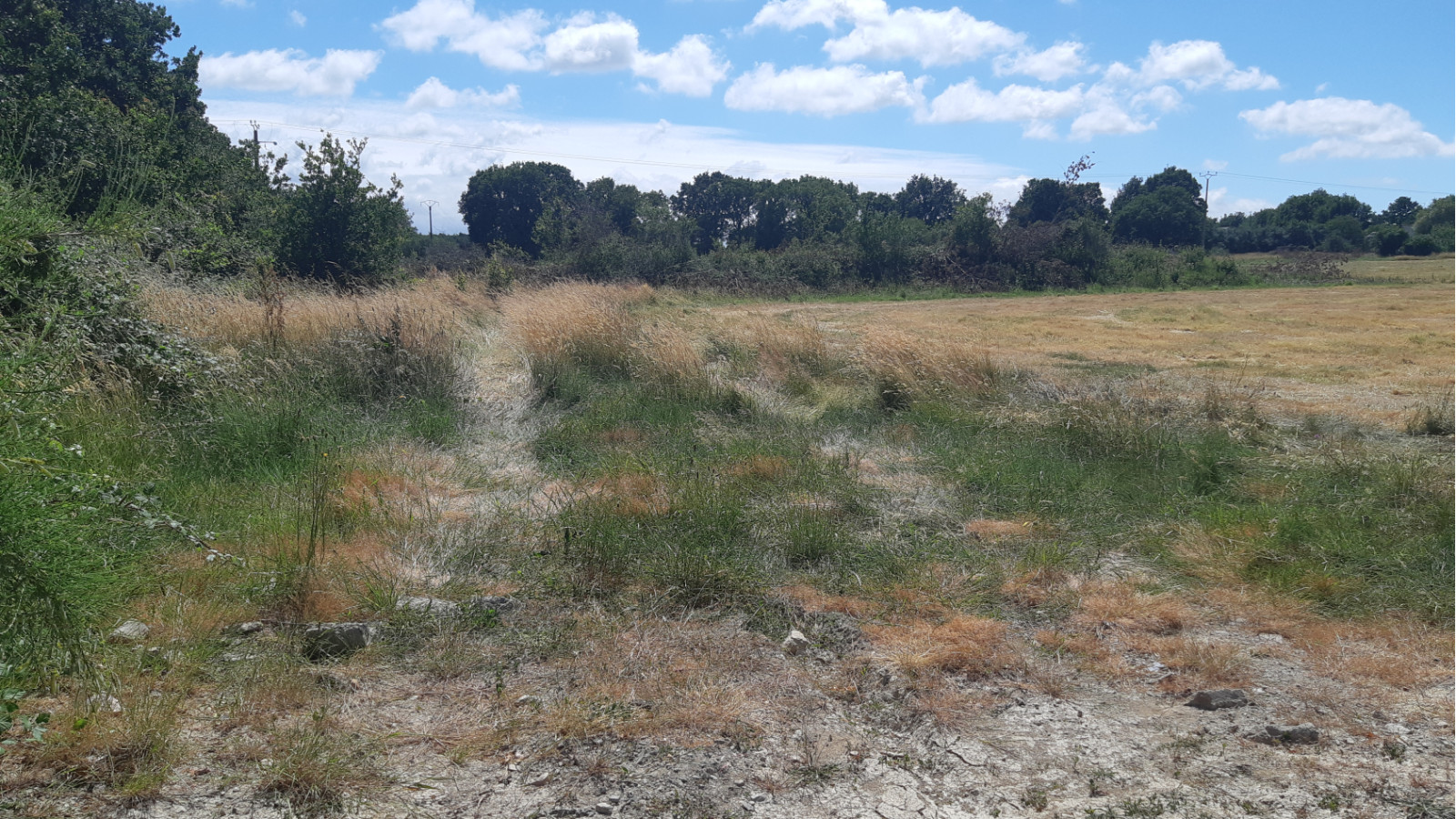 Terrain constructible de 880m2 à Drefféac