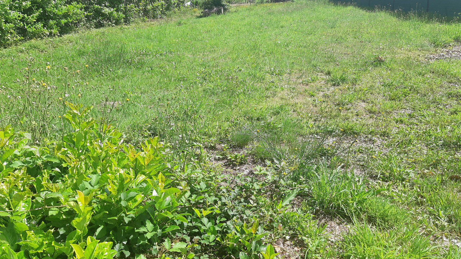 Terrain constructible de 300m2 à Saint-Malo-de-Guersac
