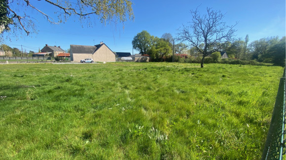 image4(17).jpeg