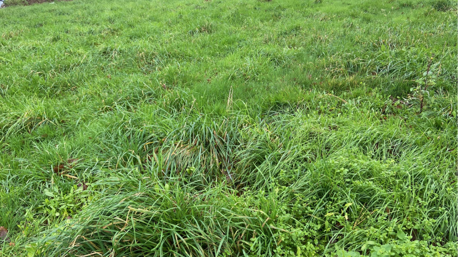 Terrain constructible de 400m2 à Drefféac