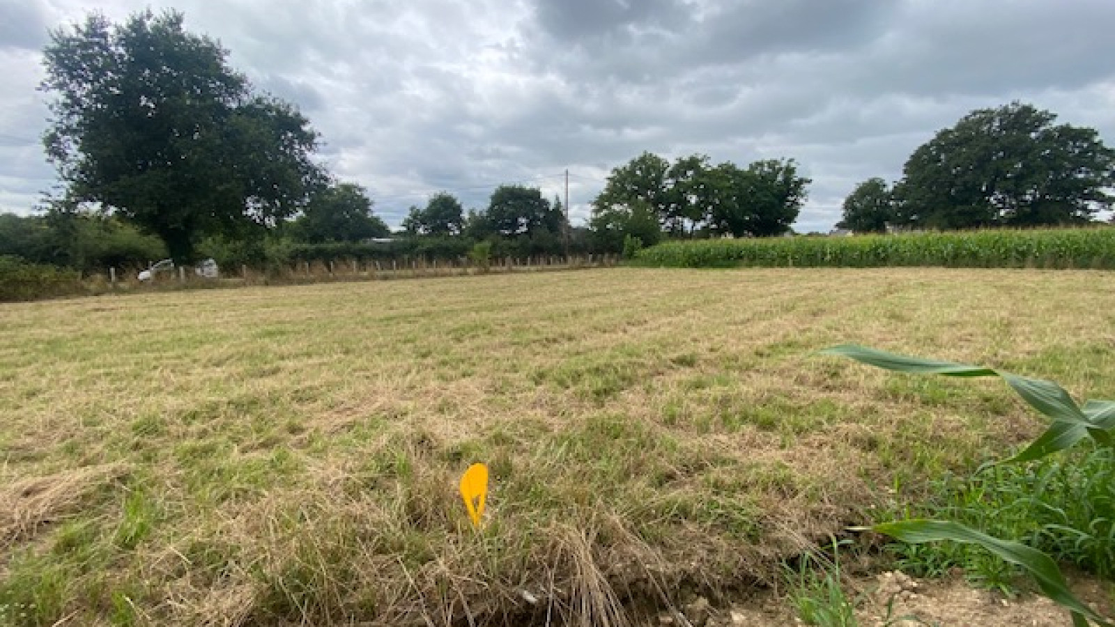 Terrain constructible de 1000m2 à Missillac