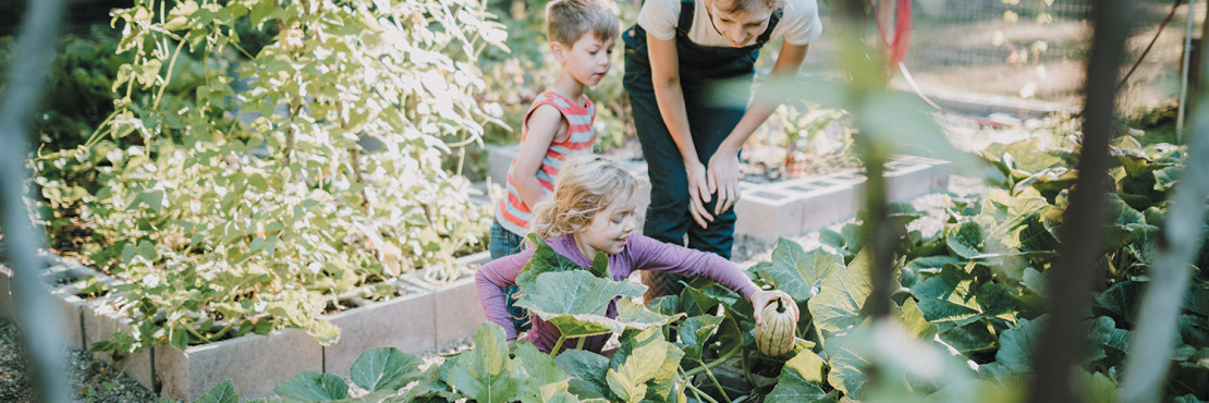 maison durable (1).jpg